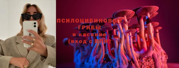 спайс Алексин