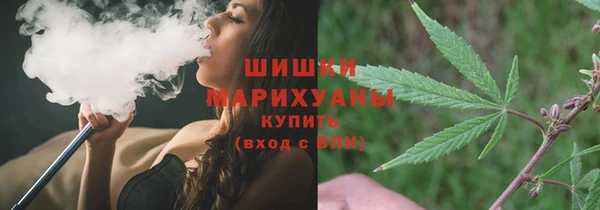 ГАЛЛЮЦИНОГЕННЫЕ ГРИБЫ Алексеевка