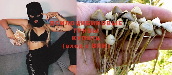 spice Алзамай