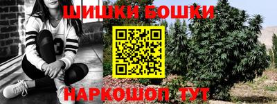 бошки Жуковский