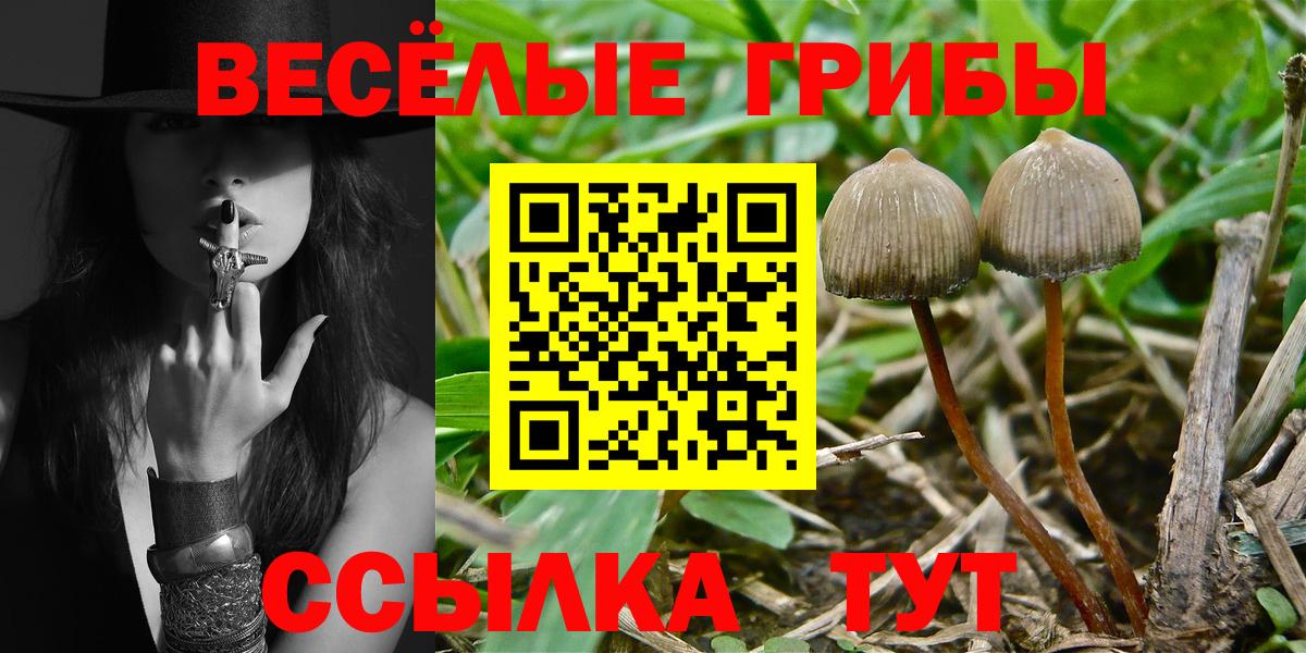 Новодвинск  Псилоцибиновые грибы ЛСД  Вход с VPN  Галлюциногенные грибы Psilocybe 