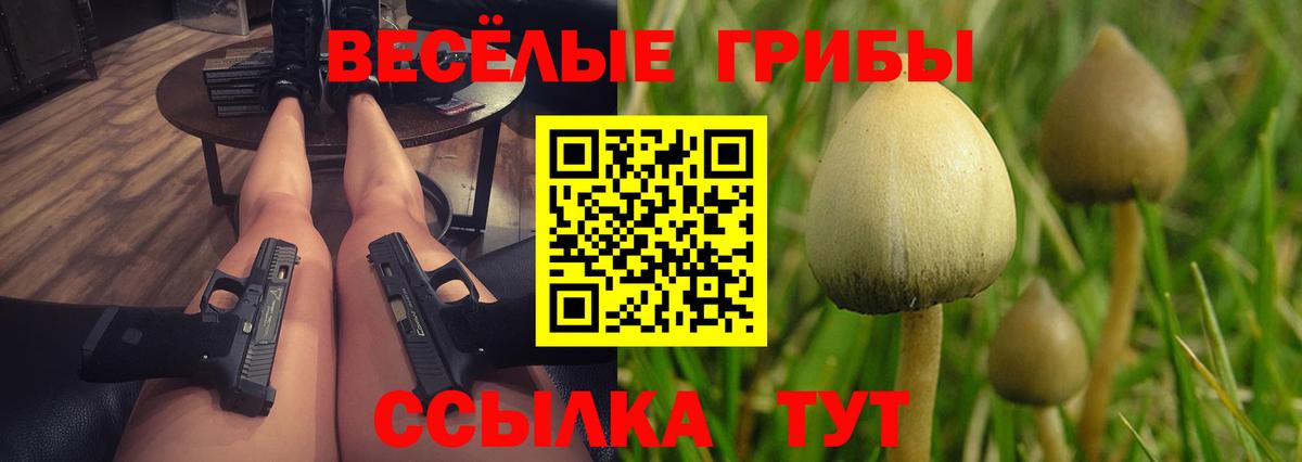 Псилоцибиновые грибы мухоморы Новодвинск