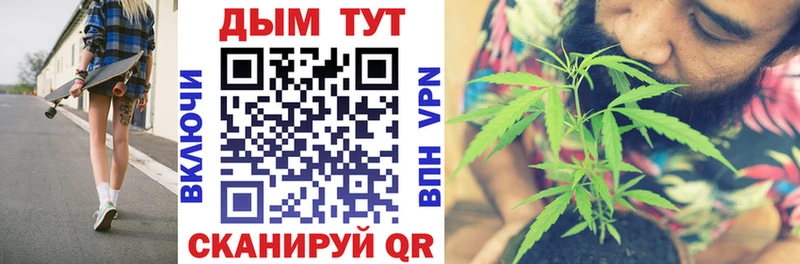 mega tor  Новодвинск  Каннабис план 